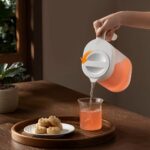 Xiaomi Mijia Cold Water Kettle