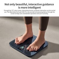 Xiaomi Mijia Body Fat Scale S400 Pro(Black)