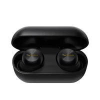 Technics EAH-AZ100 Earbuds