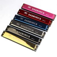 Miwayer Professional Diatonic Harmonica 24 Holes With Metal Key