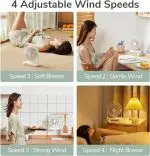 Table Fan Life5 FA19